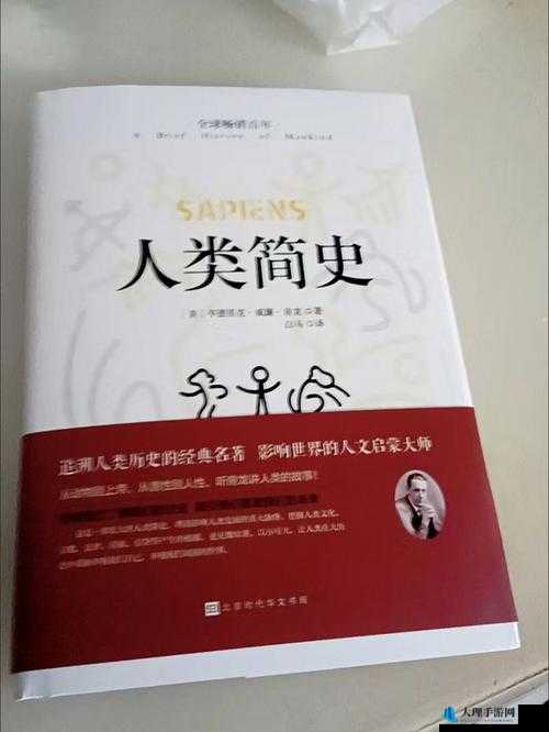 144 大但人文艺术：对其内涵与价值的深入探讨与分析